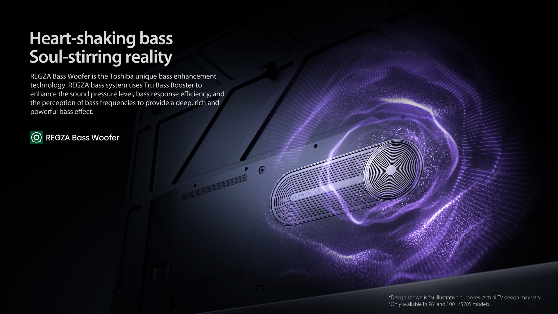REGZA Bass Woofer (98 and 100 only) Size up